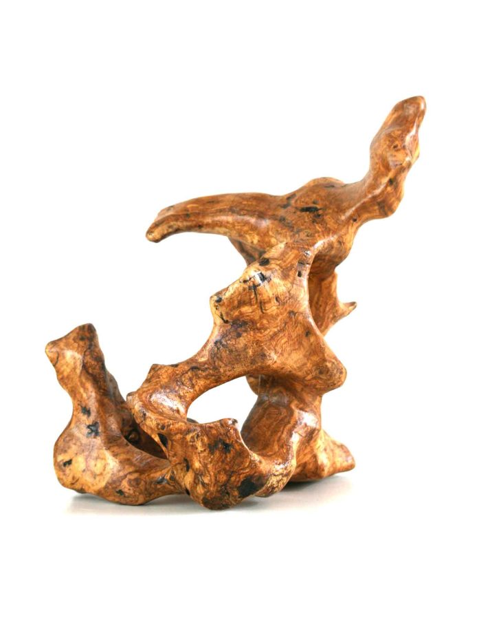 Escultura de formes orgàniques