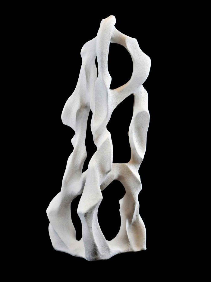 Escultura de formes orgàniques
