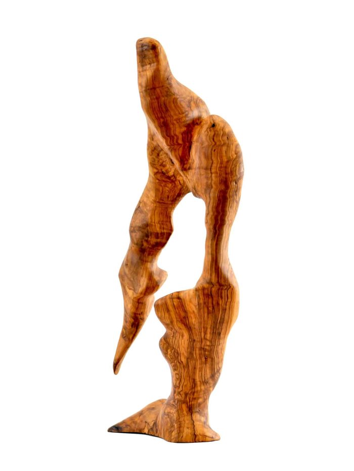 Escultura de formes orgàniques