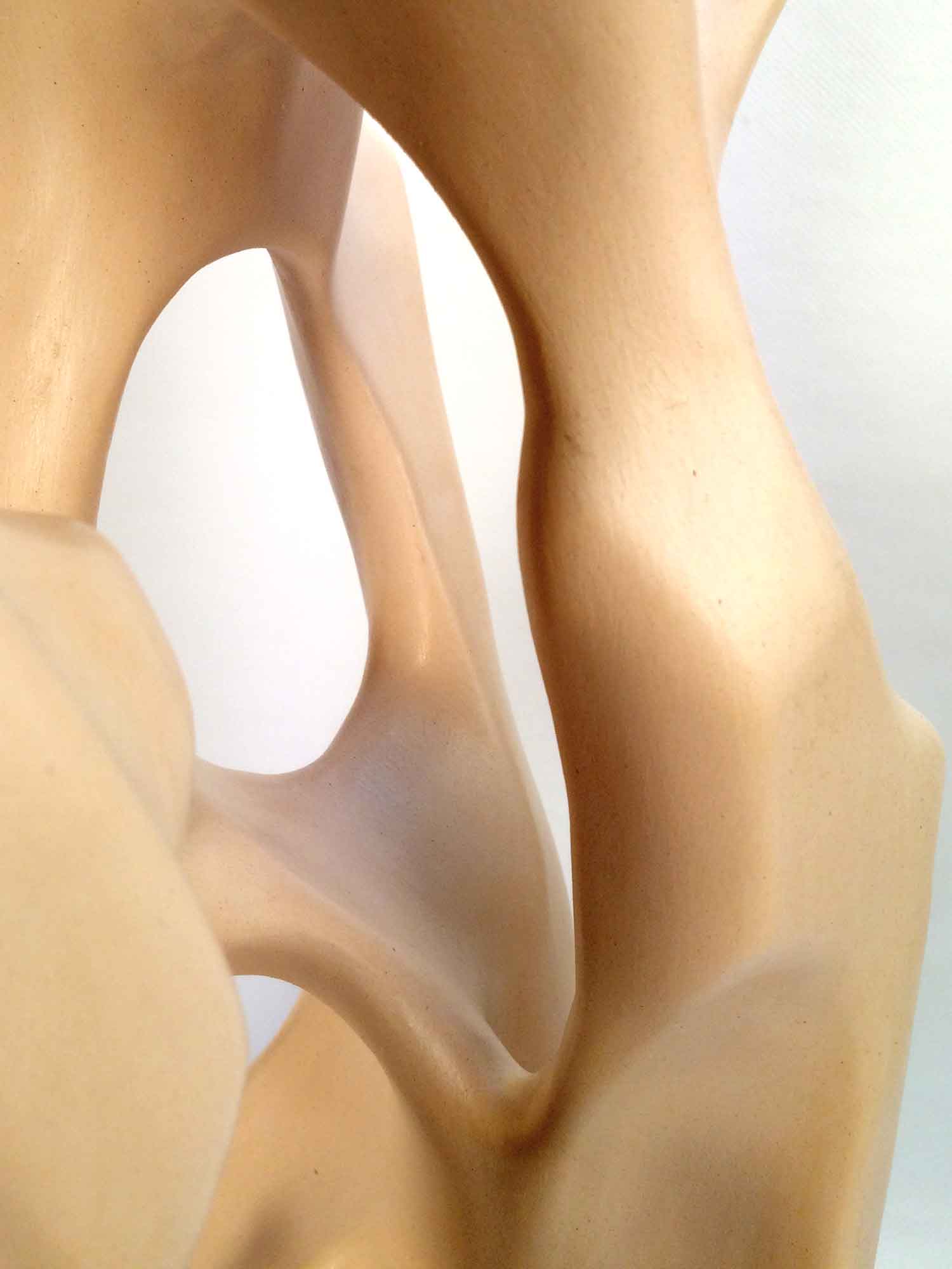 Escultura amb formes orgàniques
