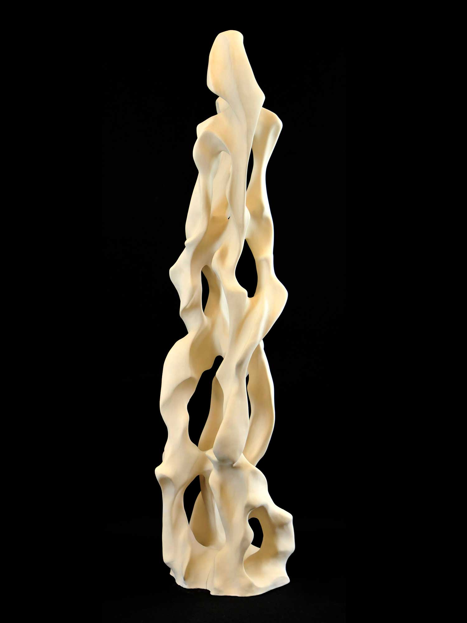 Escultura amb formes orgàniques