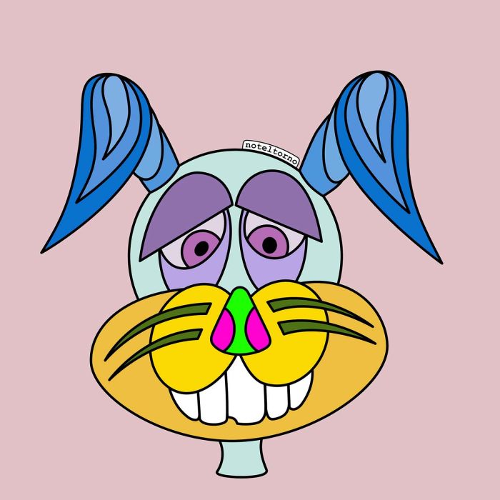 Imatge de la cara de Noteltorno